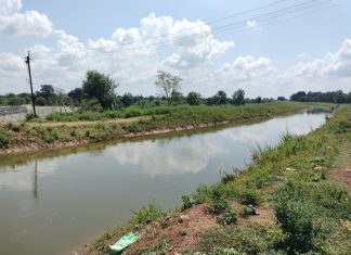 देवी विसर्जनासाठी गेलेले दुगाळा येथील ग्रामपंचायत सदस्य गोशिखुर्द नहरात लापता