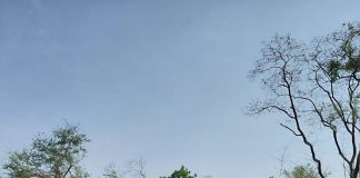 डोनी फाट्याजवळील धोकादायक खड्डे स्वराज्य स्वाभिमानी संघटनेकडून बुजविण्याचा उपक्रम