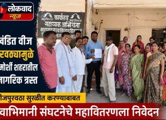 खंडित वीज पुरवठ्यामुळे चामोर्शी शहरातील नागरिक त्रस्त.