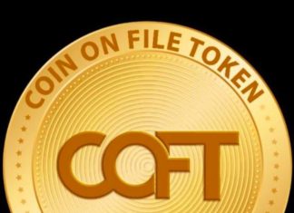 Coinflog च्या नावाखाली कोट्यवधींची फसवणूक? गडचिरोली-चामोर्शीत गुंतवणूकदार हवालदिल; जबाबदारांवर कारवाईची मागणी.